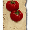 Tomatoes Wall Plaque