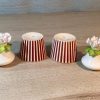 Flower Pot Salt & Pepper